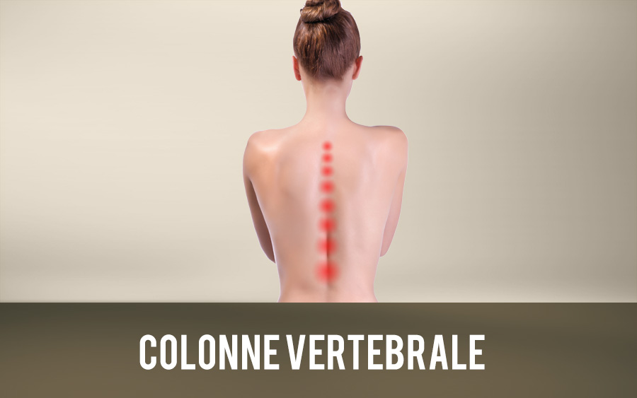 Colonne vertebrale
